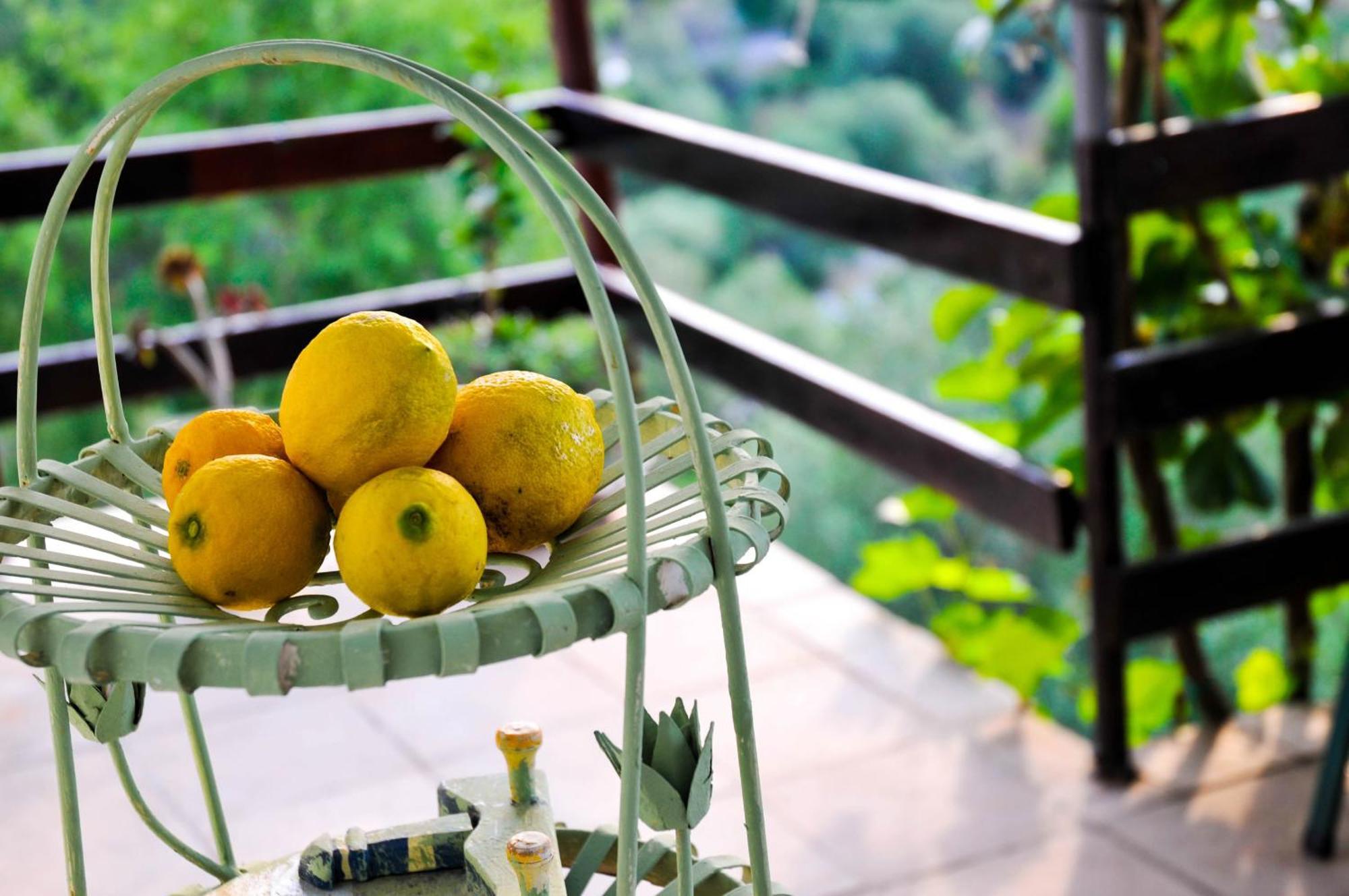 Bellavista Peljesac Peninsula Bed & Breakfast Dubrava  ห้อง รูปภาพ